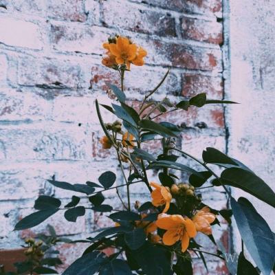 伊朗重申结束战争条件